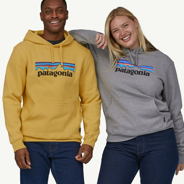 Patagonia Hoodies & Sweatshirts