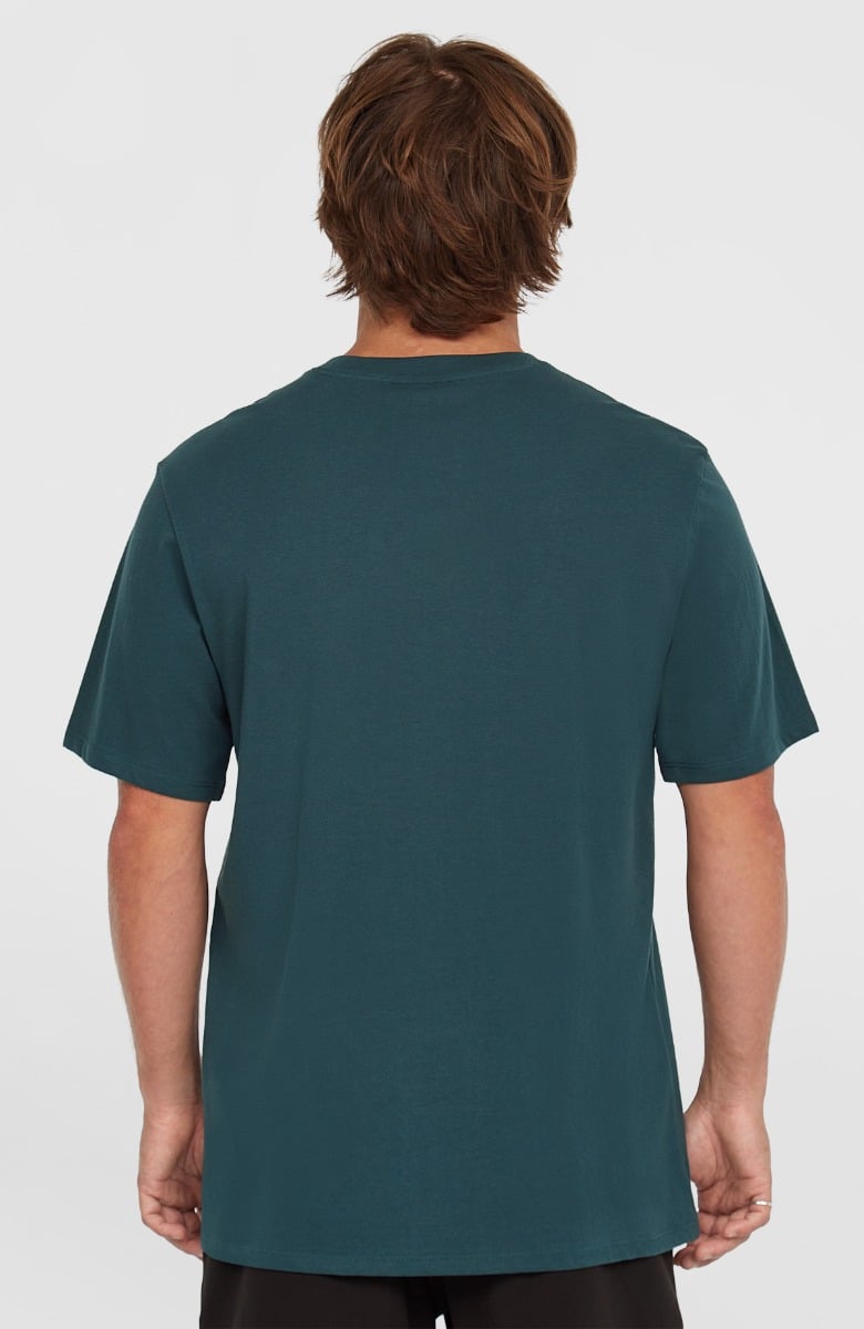 O'Neill Logo T-Shirt - Alma Steel